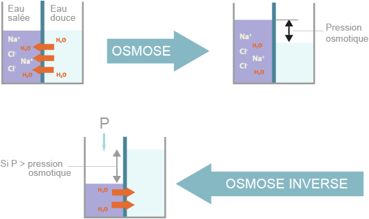 Principe de l'osmose et de l'osmose inverse (©2012)