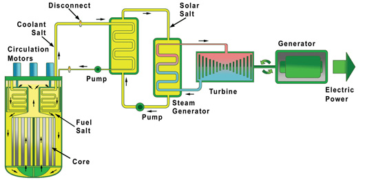 Design du réacteur à sels fondus de Terrestrial Energy (©CC-BY-SA)