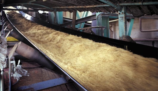 Bagasse exploitée dans l'usine du Gol (©Syndicat du sucre de la Réunion)