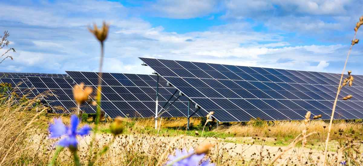 Parc solaire de Tützpatz