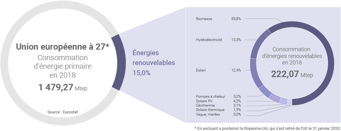 Part des renouvelables dans la consommation d'énergie primaire de l'UE