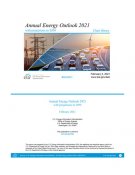 États-Unis : Energy Outlook 2021