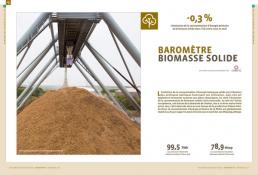 Biomasse solide