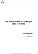 Les perspectives du shale gas dans le monde