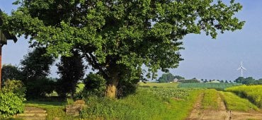 Éolien et prix de l'immobilier