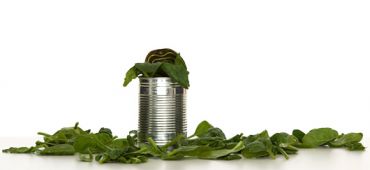 Soleil et épinards pour produire du biocarburant