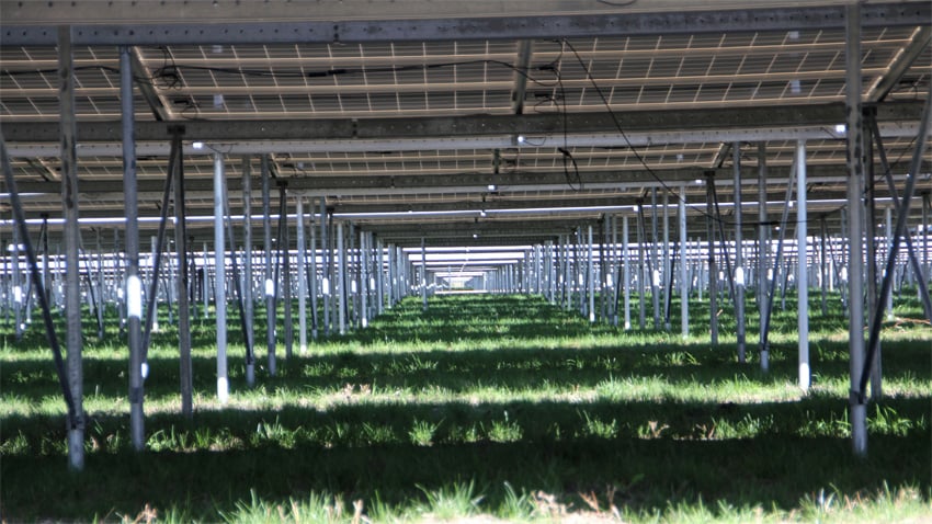 Modules photovoltaïques de la centrale de Cestas