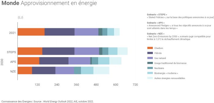 Structure de la consommation mondiale d'énergie : les 3 scénarios de l'AIE d'ici 2030