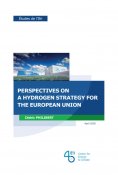 Perspectives d'une stratégie hydrogène pour l'Union européenne