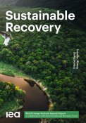 Rapport Sustainable Recovery