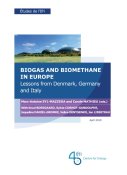 Biogaz et biométhane en Europe