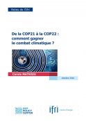 Enjeux COP22