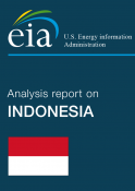 L'énergie en Indonésie