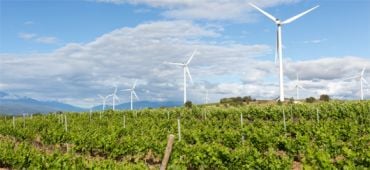 Agriculture et énergies renouvelables